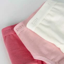 Lot De 3 Culottes Nacre Et Roses Les Pockets DIM Girl -Offres DIM Boutique D093IP3 1LM 03 front detail