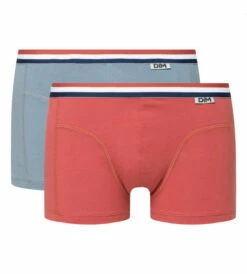Lot De 2 Boxers Coton Stretch Ceinture Tricolore Rouge Gris EcoDIM 8 Lot De 2 Boxers Coton Stretch Ceinture Tricolore Rouge Gris EcoDIM -Offres DIM Boutique D0A78P2 9MA 02