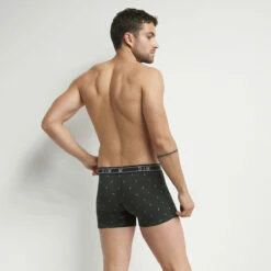 Boxer Homme En Coton Stretch à Imprimé Insectes Vert Dim Fancy -Offres DIM Boutique D0CC6C1 AH7 02