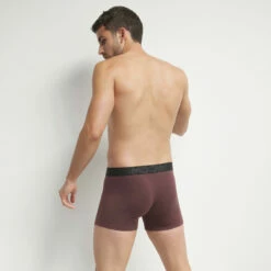 Boxer Homme En Coton Modal Chocolat à Ceinture Noire Dim Classic -Offres DIM Boutique D0CI8C1 AR4 02