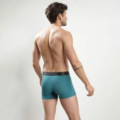 Boxer Homme Coton Modal Vert à Ceinture Noire Dim Classic -Offres DIM Boutique D0CI8C120AJ9 02