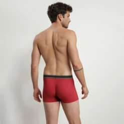 Boxer Homme En Coton Modal Côtelé Rhubarbe Dim Elegant -Offres DIM Boutique D0CI9C1 AMP 02