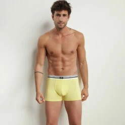 Boxer Homme En Coton Modal Ceinture Rayée Jaune Dim Smart