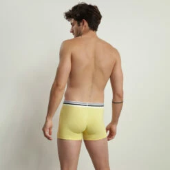 Boxer Homme En Coton Modal Ceinture Rayée Jaune Dim Smart -Offres DIM Boutique D0CIAC1 162 02