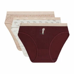 Lot De 3 Slips Femme En Coton Stretch à Messages Féminins Les Pockets 13 Lot De 3 Slips Femme En Coton Stretch à Messages Féminins Les Pockets -Offres DIM Boutique D4C17P3 A2O 05