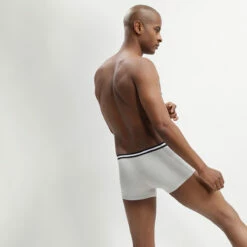 Lot De 2 Boxers Noir Et Gris EcoDIM En Coton Stretch -Offres DIM Boutique D6578P2 03N 03