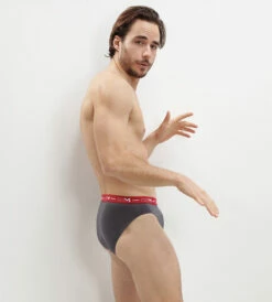 Lot De 3 Slips Gris, Rouge Chili Et Noir Coton Stretch -Offres DIM Boutique D6595T3 5BG 03